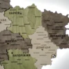 Деревʼяна 3D карта України з підсвіткою по контуру колір Olive