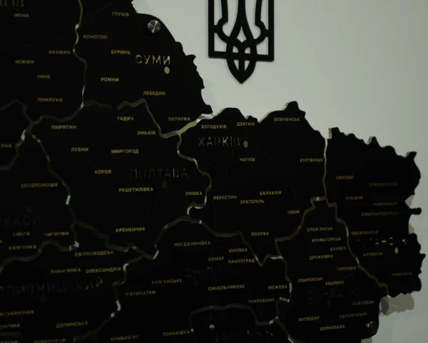 Карта України із дерева на стіну з підсвіткою між областями колір Black