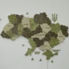 karta-ukrainy-z-pidsvitkoiu-mizh-oblastiamy-olive-12.webp Карта України з LED-підсвіткою між областями колір Olive