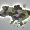 Деревʼяна 3D карта України з підсвіткою річок колір Olive