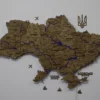 Карта України із дерева 3D з фарбованими річками та підсвіткою по контуру колір Wood